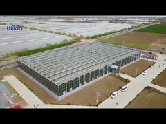 Стеклянный парник