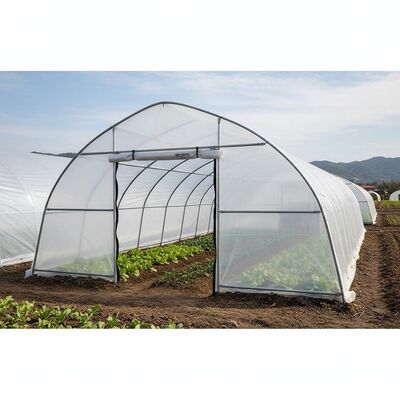 Zippered Door Galvanized Steel Frame Greenhouse Tunnels Waterproof PE Cover For Crop Protection